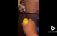 Little-girl-scared-of-baby-chick-Viral-Video-UK-attachment
