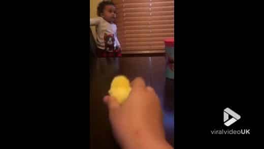 Little-girl-scared-of-baby-chick-Viral-Video-UK