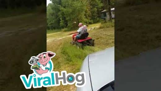 Scaring-Dad-Right-off-His-Lawnmower-ViralHog